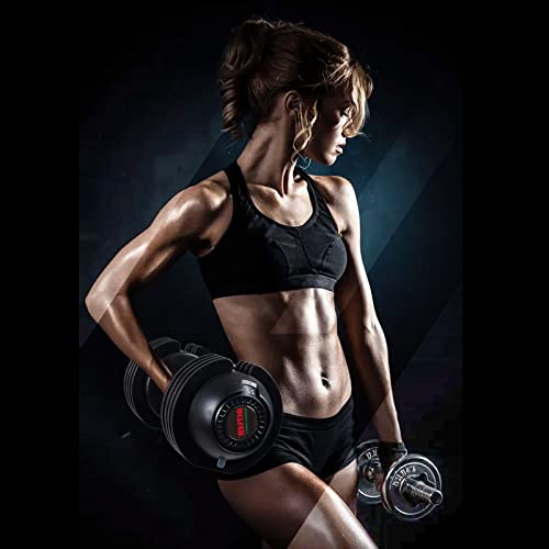 ALTLER Adjustable Dumbbell, 2PCS 22lb Dumbbell Set with Tray for Fitness, Fast Adjust Weight by Turning Anti-Slip Handle, Safety with 8 Lock Slots, Suitable for Men and Women, Black (AL-DB2202)