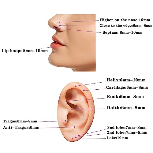 GW 5 Pcs Hoop Nose Rings Hoop Set 316L Surgical Steel, Septum Clicker Nose Hoop Rings, Cartilage Hoop Earrings, Lip Rings, Body Piercing Jewelry (20g 6mm)