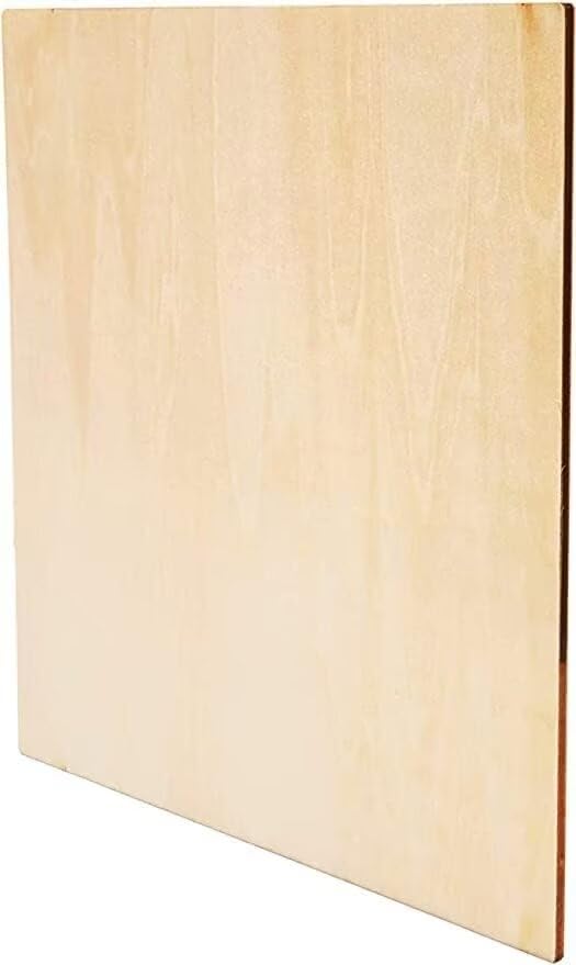 Rustic Wood Plaque Sign The Only B.S. I Need Is Baseball SeasonWood Sign with Rope Wall Art Wooden Plaque Home Decor for Porch Entryway Kitchen Housewarming Gift 8" x 8"
