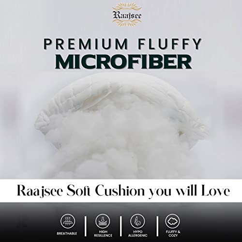 raajsee 16x16 Pillow Inserts Set of 2, Firm nd Fluffy Down Alternative Throw Pillows for Couch, Pillow Stuffing for Couch Sham Filler, Sofa Pillow from 16x16, Throw Pillow Inserts 16 x 16