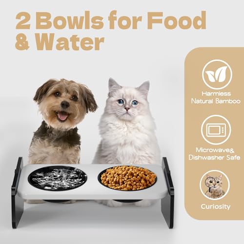 Modern Stainless Steel Cat Bowls, Raised Cat Food and Water Bowl Set, 15° Tiltted Cat Food Bowls with 2 Shallow Bowls Whisker Friendly, Bamboo Stand Anti-Vomtting Indoor Small Dogs Bowls