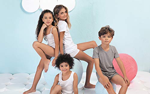 Brix Boys Undershirt Tank Top - Tagless 100% Cotton Super Soft 4 Pack Novelty.