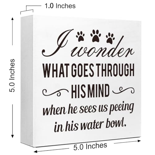 Dog Lover Desk Decor,I Wonder What Goes Through His Mind Wood Box Sign,Dog Mom Dog Dad Gifts,Gifts for Dog Lovers,Funny Dog Signs for Home Decor