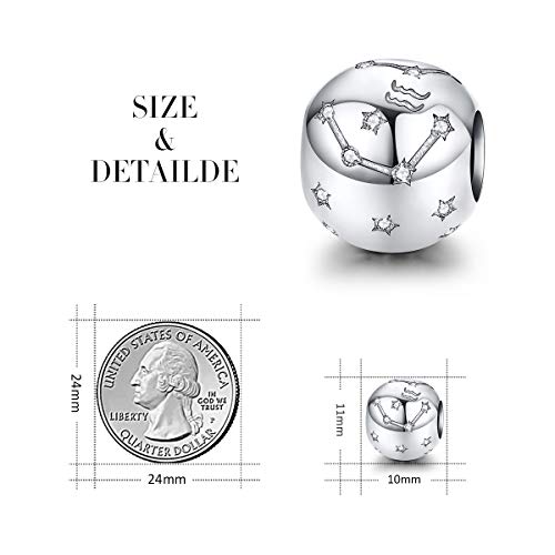 FOREVER QUEEN Aquarius Zodiac Star Sign 925 Sterling Silver Bead Charm Fits Bracelets 12 Constellations Charm, Womens Jewellery Gift with Box