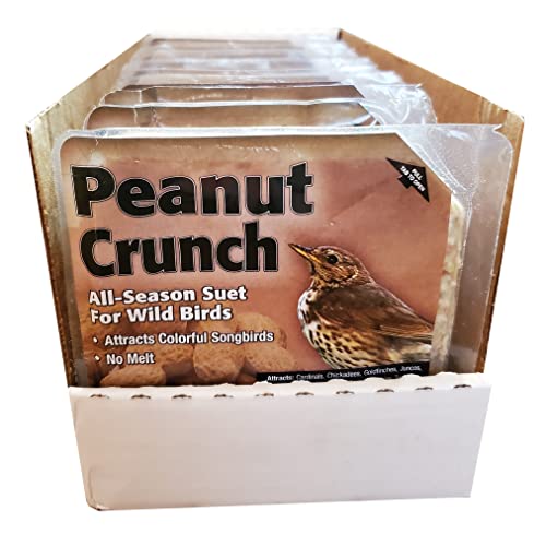 Heath Outdoor Products DD18-10, Peanut Crunch Suet Cake - 10 Pack