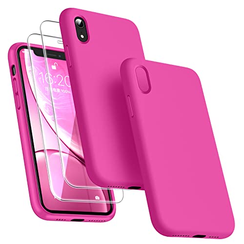 Dssairo [3 in 1 for iPhone x Case/iPhone Xs case, with 2 Pack Screen Protector, Liquid Silicone Slim Shockproof Protective Phone Case 5.8 inch [Microfiber Lining] (Alpine Green)…