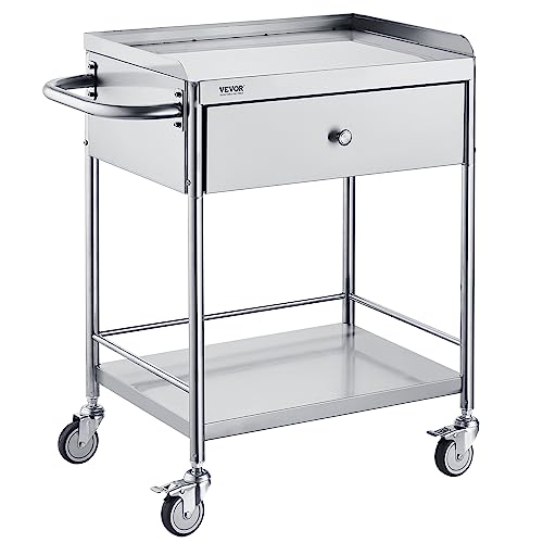 VEVOR Medical Cart, 2 Layers Stainless Steel Cart 220 lbs Weight Capacity, Lab Utility Cart with 360° Silent Wheels and a Drawer for Lab, Clinic, Kitchen, Salon, Silver