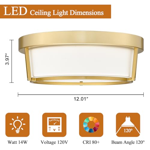 Luminzone Gold LED Ceiling Light Fixtures 12 Inch 22W LED Flush Mount Light 5CCT Dimmable Ceiling Light with Milk Glass Overhead Ceiling Lamp for Bedroom Bathroom Kitchen 3000K~6500K