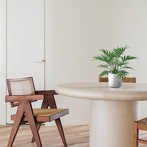 BESAMENATURE Artificial Palm Tree Plant, Potted Artificial Plant for Home Office Decoration, 12" Tall, Ships in White Ceramic Planter