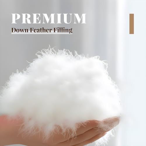 HOMCHANG GOOSE Down Comforter King Size, Winter Heavyweight Feather Down Comforter, Warm Comforter, Noiseless Turning Down Duvet, Winnner of Muse Creative Awards (106"x90", White)