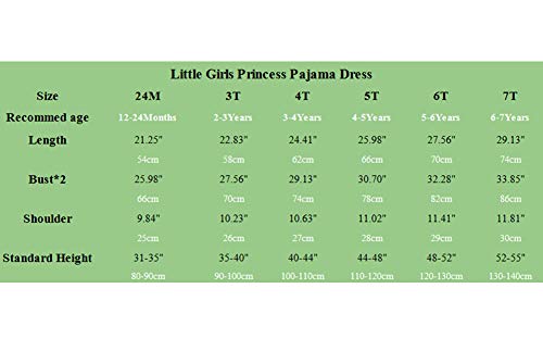 JWWN Toddler Girls Princess Nightgrown Summer Sleepwear Little Kids Short Sleeve Pajama Dresses (Blue,2T)