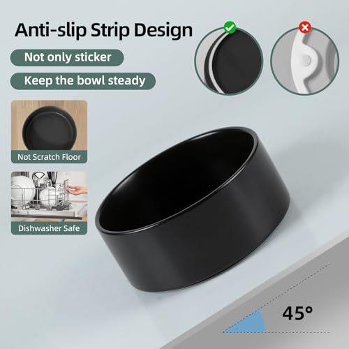 Havniva Ceramic Raised Dog and Cat Bowl Set, 2 Heights Elevated Stand, Food and Water Bowl for Small Breed Dogs, Weighted Dog Dishes, Pet Bowl(6.1'',28.7oz, White)