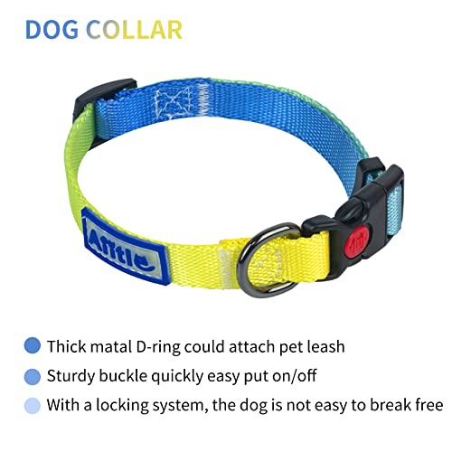 AIITLE Step in Dog Harness Collar Leash Set - Adjustable No Pull Dog Halter Harness - Comfortable Padded Handle - Easy Control for Walking - for Extra-Small Breed Dogs, Blue Gradient XS