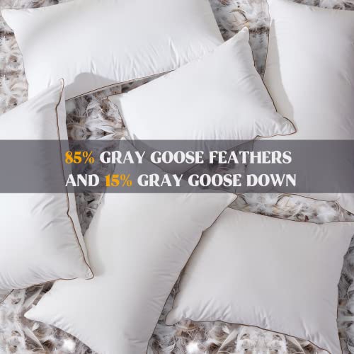 puredown® Goose Feathers Down Pillows Standard Size Set of 2 - Made in USA Soft Fluffy Hotel Pillow, 100% Cotton Cover, Luxury Medium Firm Bed Pillows for Back, Stomach or Side Sleeper.