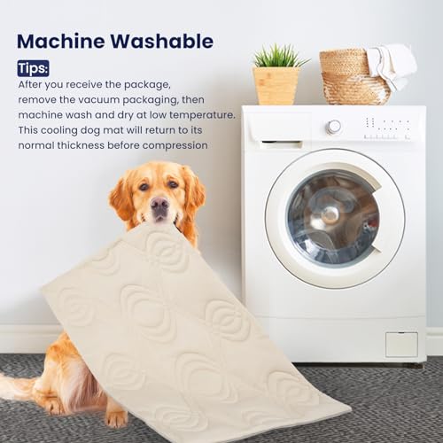 Thirdream Dog Crate Mat, Soft Dog Kennel Pad for Small Dog Sleeping, 36" x 23"x1", Pet Puppy Cat Washable Pad for Cages Bed Kennels Sofa Floors Portable Beige Yellow