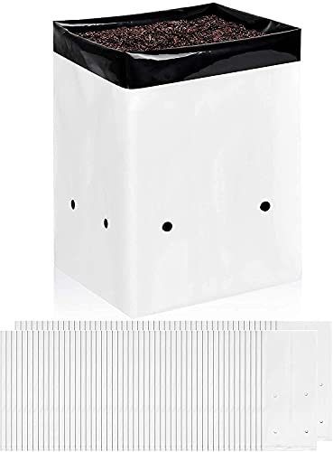 iPower GLGROWBAGFILM1X50 50-Pack 1 Gallon Black and White Grow Bags Panda Film Containers for Plants, Seedling and Rooting, Square Shape