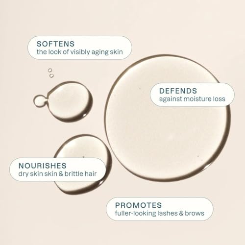 Cliganic Organic Castor Oil, 100% Pure (8oz with Eyelash Kit) - For Eyelashes, Eyebrows, Hair & Skin | Natural Cold Pressed Unrefined Hexane-Free (Packaging May Vary)