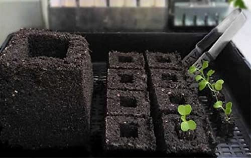 Ladbrooke Authentic Soil Block Maker - 6-Pc. Master Grower Nesting System Includes Maxi, Mini 4, Micro 20, Cubic Inserts, 7/8" Seed Dibbles, and Grow Tweezers, Made in England