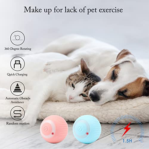 Found Notice Cat Ball Toy, Interactive Cat Toys, Automatic Motion Activated Moving Ball Hide and Seek Game for Indoor Exercise，Gifts for Kittens