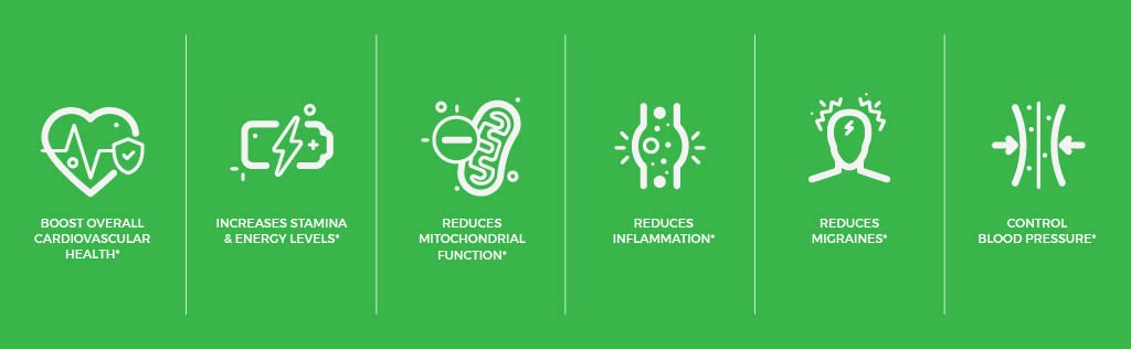 Sundhed Natural CoQ10 Powerful Antioxidant (Capsules Coq10+Resveratrol)