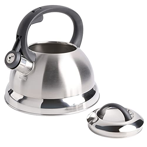 Mr. Coffee Flintshire Stainless Steel Whistling Tea Kettle, 1.75-Quart, Brushed Satin