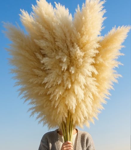 200PCS Dried Flower Bouquet – Pampas Grass, Floral Decor for Home, Wedding, and Boho Style | Perfect for Vases, Fall, Spring, Summer, and Winter Arrangements