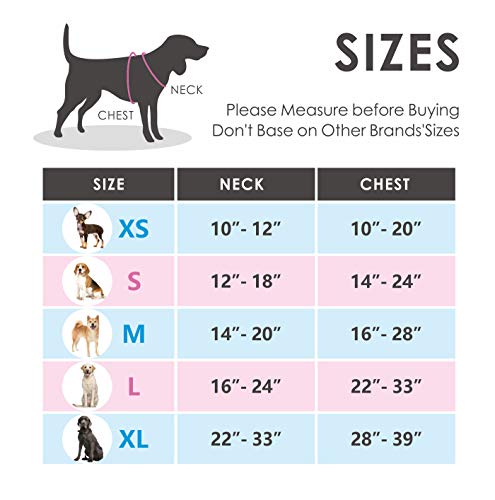 PHOEPET No Pull Dog Harness Reflective Adjustable Vest with a Training Handle, Name ID Pocket, 2 Metal Leash Hooks, 3 Snap Buckles [Easy to Put on & Take Off](S, Baby Blue)