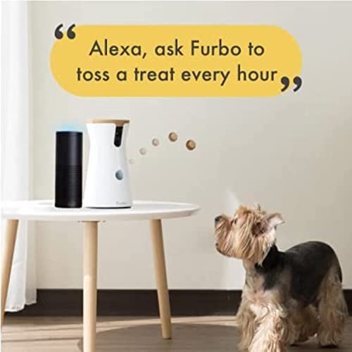 Furbo 360° Cat Camera + Nanny Bundle: Home Security & Cat Safety Alerts, Rotating Pet Treat Dispenser Camera with Speaker, Smart Home Indoor Cam w Phone App (Additional Subscription Required at Setup)