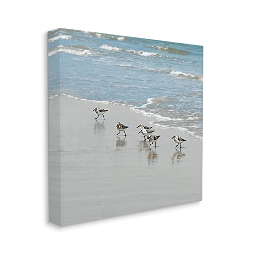Stupell Industries Sandpipers on Shore Reflection Canvas Wall Art, Design by Natalie Carpentieri
