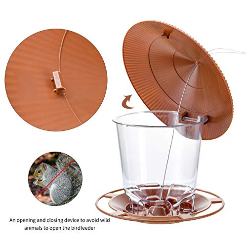 Hanging Bird Feeder Squirrel Proof for Outdoor Wild Bird Seed, Purple