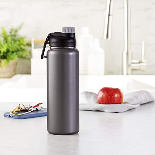 Amazon Basics Stainless Steel Insulated Water Bottle With Spout Lid, 30 ounce, Large Size, Gray