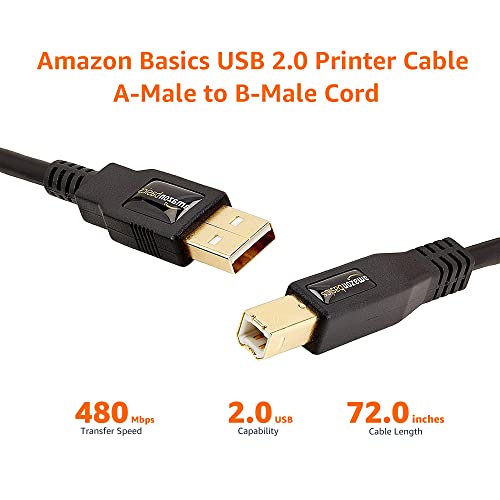 Amazon Basics USB-A to USB-B 2.0 Cable for Printer or External Hard Drive, Gold-Plated Connectors, 6 Foot, Black