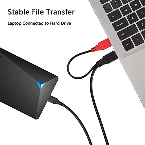 CERRXIAN Dual USB Type A 2.0 Male to USB B Data Y Cable for Printer, Scanner,External Hard Disk Drive,Dj Controller (0.8m Black)