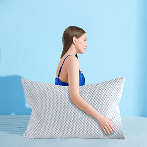 Ramesses Pillowcase Queen Size, with 3D Air Fabric Cooling Bubbles Face Offer Super Silky Soft, Set of 2 Pillow Cases (Queen, Blue)