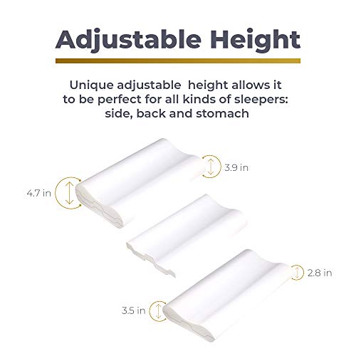 Royal Therapy 1-Pack Memory Foam Pillow, Cervical, Queen Contour Pillow, Orthopedic Pillow for Neck Support, Neck Pain, Side Sleepers, CertiPUR-US