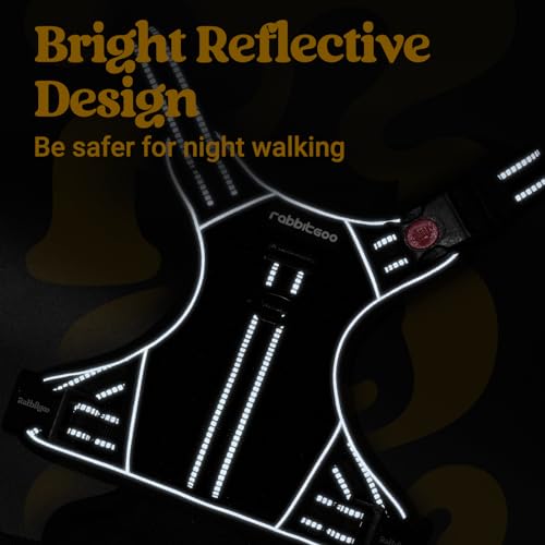 rabbitgoo Dog Harness Small Sized Dog, No Pull Pet Harness with Soft Padded Handle, Adjustable Reflective Vest with 3 Buckles, Easy Walking Harness with 2 Leash Clips, Black, S