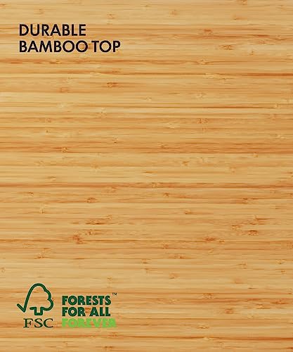 FLEXISPOT E6 Bamboo Dual Motor 3 Stages Standing Desk 48x24 Inch Whole-Piece Board Electric Height Adjustable Desk Stand Up Desk Large Load Capacity(Black Frame + Bamboo Desktop)