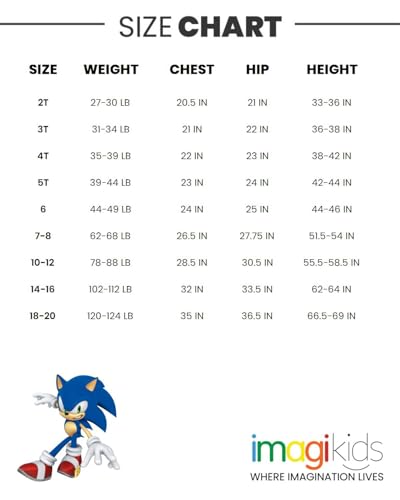 SEGA Sonic the Hedgehog Toddler Boys Fleece Athletic Pullover Hoodie Navy 3T