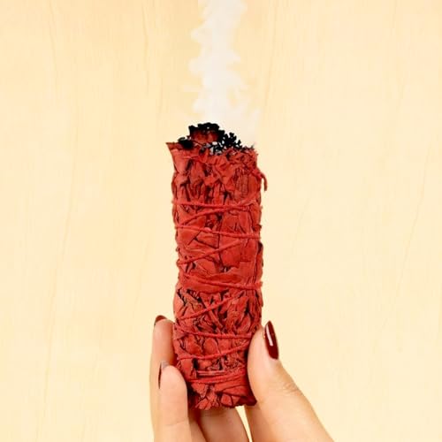 Wish Well Sage Smudge Kit - 3 Dragons Blood Sage Sticks, 2 Palo Santo Sticks, Abalone Shell, Stand, Feather, 7 Chakra Stones & Crystal Bracelet ~ Sage Incense Sticks for Cleansing House & Meditation