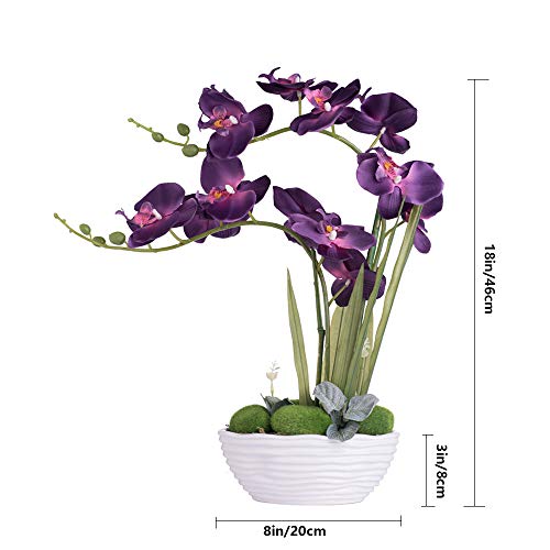 YSZL Large Artificial Potted Orchid Plant, Silk Flower Arrangement with Ceramics Vase, Purple Blue