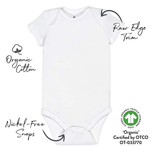 Honestbaby Organic Cotton Short Sleeve Bodysuits Multi Pack, 5 Pack Rose Blossom, 24 Months