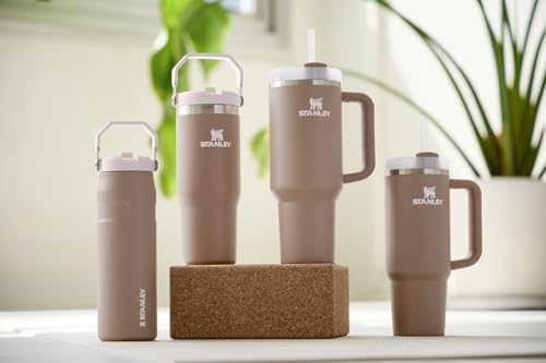 Stanley IceFlow Stainless Steel Tumbler - Vacuum Insulated Water Bottle for Home, Office or Car Reusable Cup with Straw Leak Resistant Flip Cold for 12 Hours or Iced for 2 Days, Iris, 20OZ