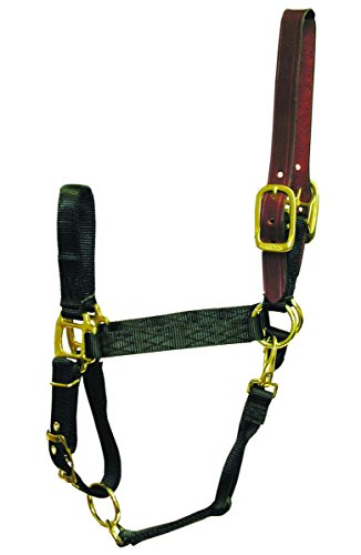 Hamilton 1-Inch Nylon Adjustable Horse Halter with Leather Head Poll and Throat Snap, Small, Red