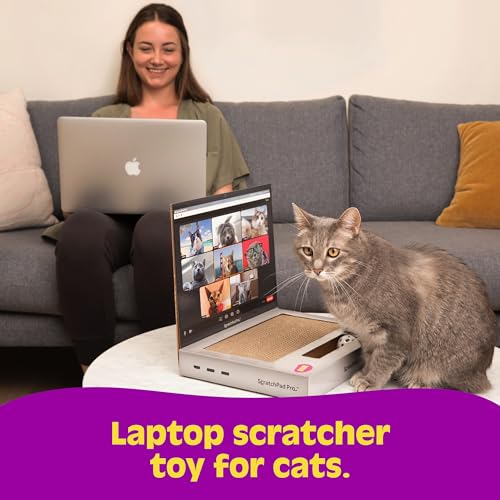 ScratchPad Pro — Cardboard Laptop Cat Scratcher, Interactive Cat Toys for Indoor Cats, Kitten Supplies and Cat Stuff by Relatable