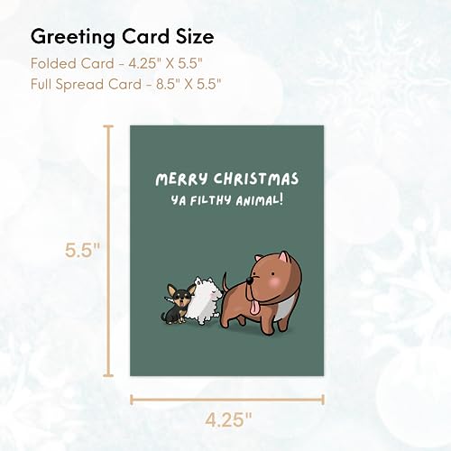 ALY LOU Christmas Cards Funny Holiday Box Set Pack Assorted, Quality Xmas Sarcastic Greeting Cards for Family Friends (10 Cards Total - White Funny & Sarcastic - 1 of each design)