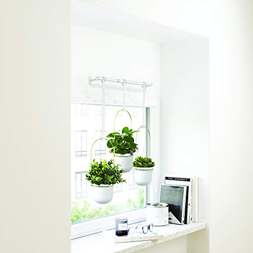 Umbra Triflora Hanging Planter for Window, Indoor Herb Garden, Set of 3, White/Brass