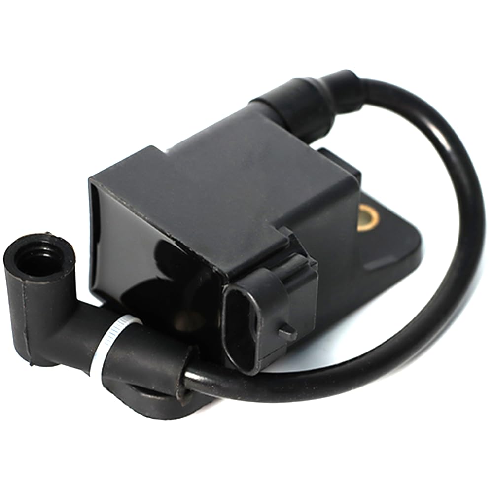 SleYuYir 827509A10 Outboard Ignition Coil CDM Module Compatible with Mercury 1996-2007 & 30-300HP，Force 1996-1999 40,50,75,90,120HP Replace#114-7509, 827509A1, 827509A3, 827509A4, 827509A7, 827509A8