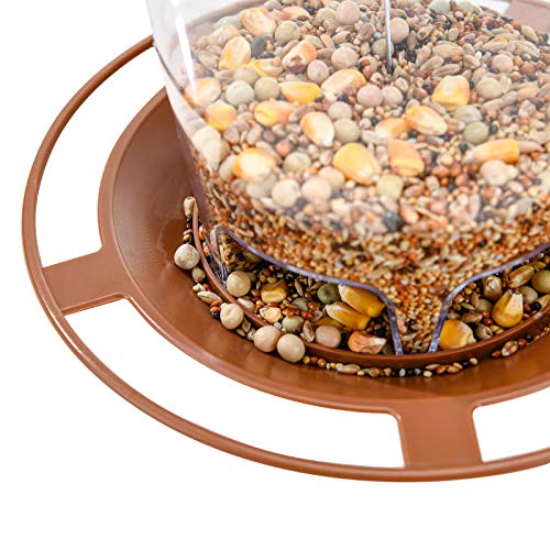 Hanging Bird Feeder Squirrel Proof for Outdoor Wild Bird Seed, Purple