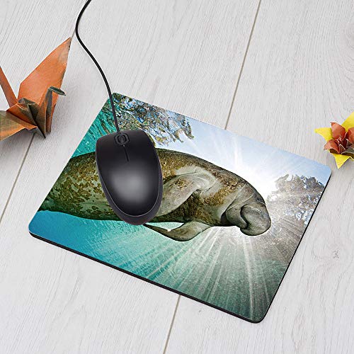 Nicokee Manatee Gaming Mousepad The Smile of Cute Manatee Mouse Pad Mouse Mat for Computer Desk Laptop Office 9.5 X 7.9 Inch Non-Slip Rubber