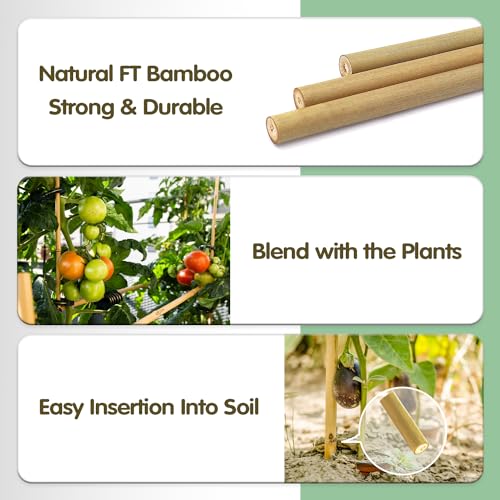 Bamboo Stakes,3FT Natural Bamboo Garden Stakes,BOVITRO 25Pcs Plant Stakes,Bamboo Sticks for Tomato,Beans,Vegetable and Climbing Plants